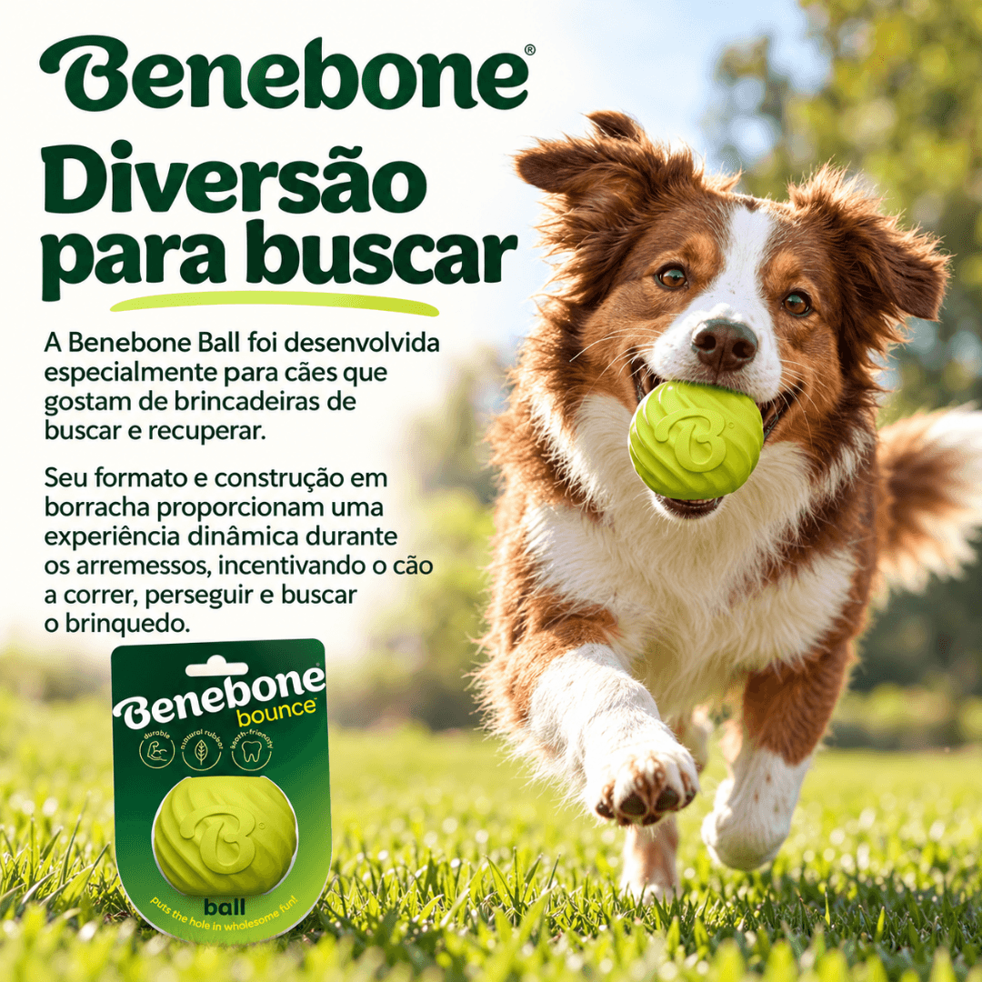 Brinquedo Borracha Recheavel Para Cães Benebone Bounce Ball