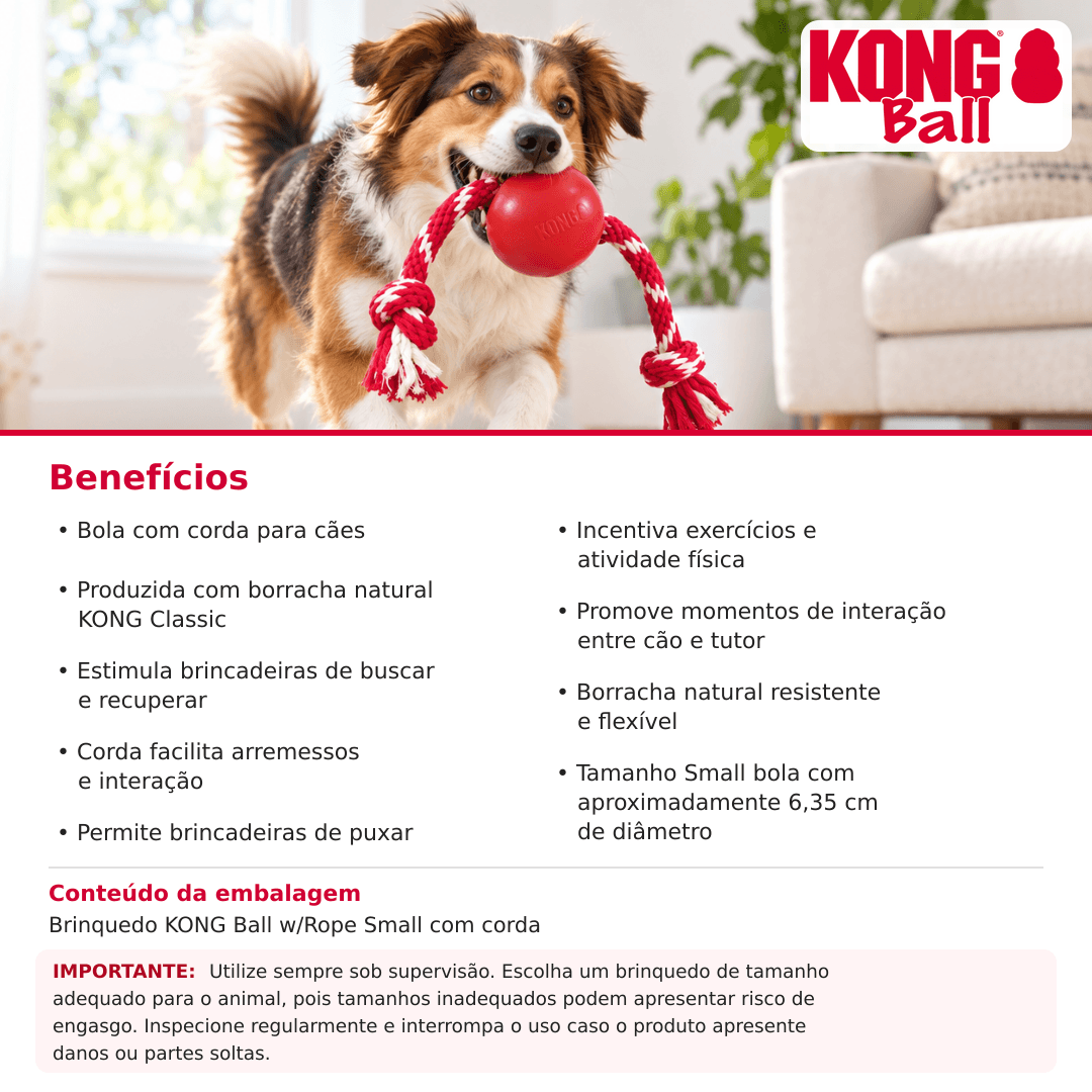 Brinquedo Para Cães Bola Com Corda Kong Ball With Rope Small