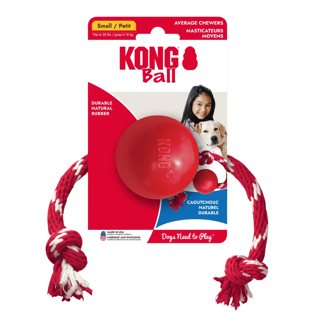 Brinquedo Para Cães Bola Com Corda Kong Ball With Rope Small