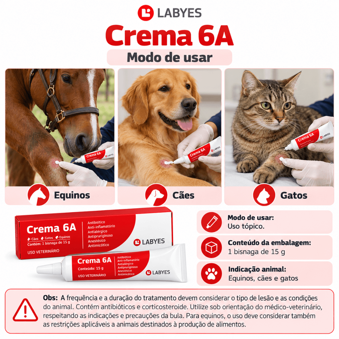 Pomada 6 Em 1 P/ Cães-Gatos-Equinos Crema 6A 15g - Labyes