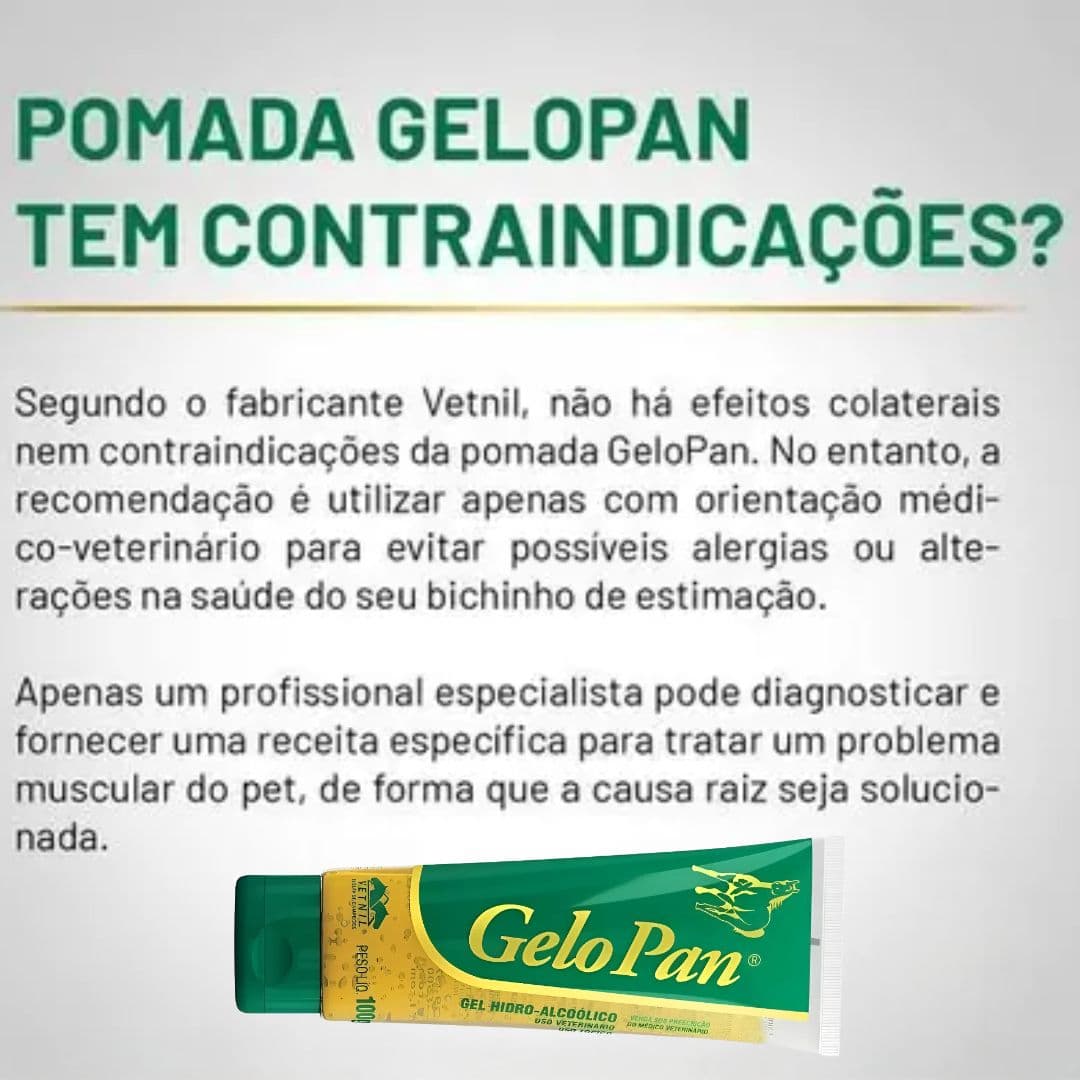 Pomada Gel Para Dores Musculares Gelo Pan 100g - Vetnil
