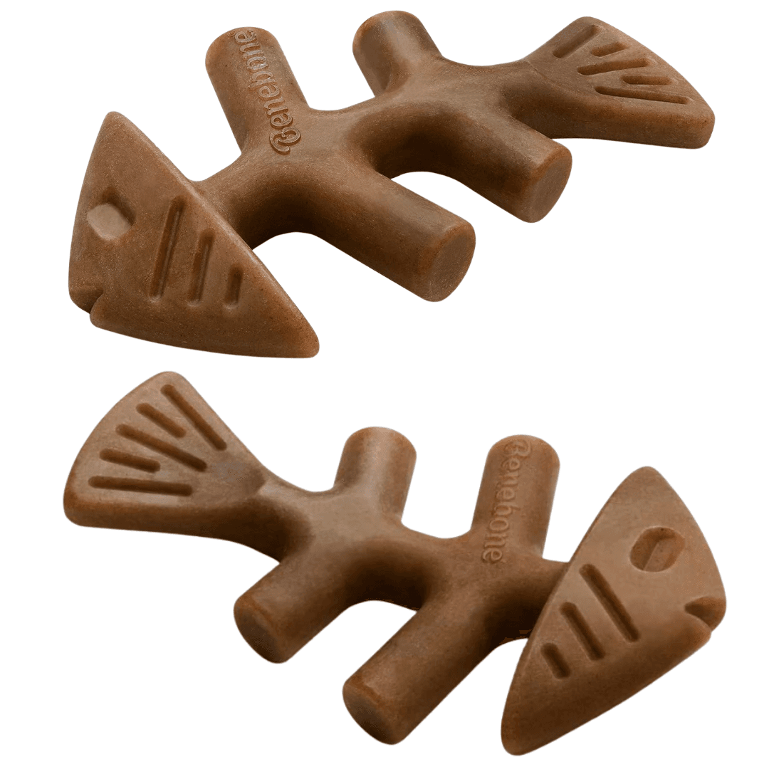 Brinquedo Mordedor Para Cães Benebone Fishbone Medium Salmão
