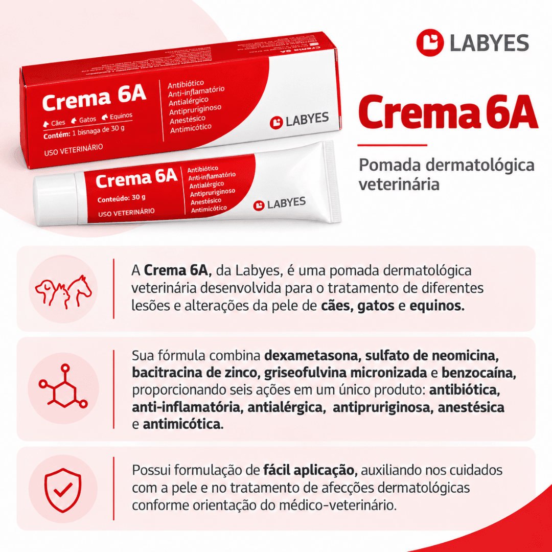 Pomada 6 Em 1 P/ Cães-Gatos-Equinos Crema 6A 30g - Labyes