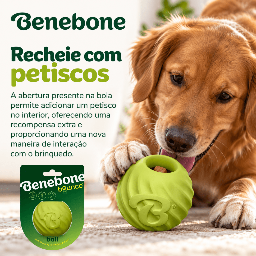 Brinquedo Borracha Recheavel Para Cães Benebone Bounce Ball