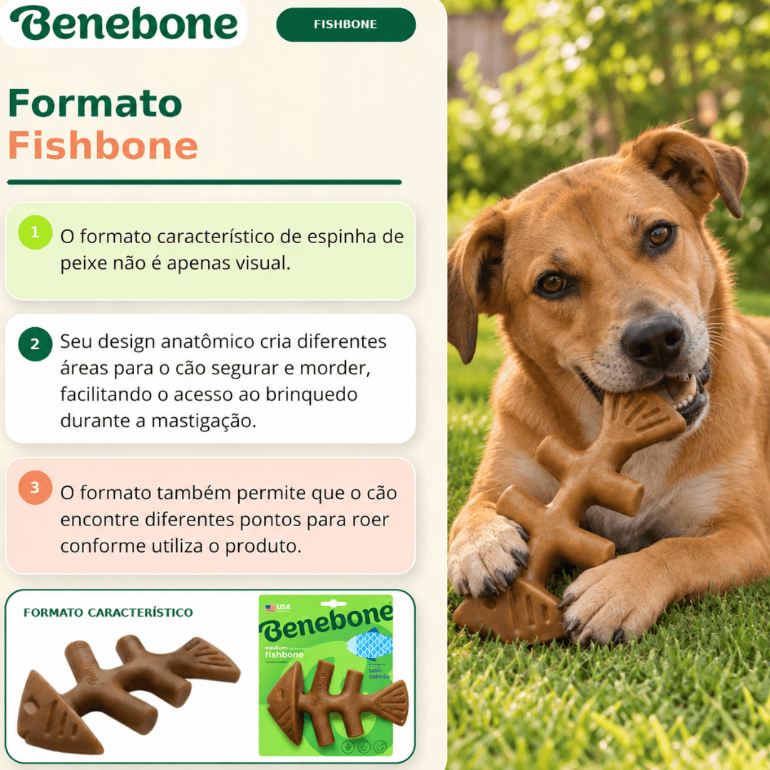 Brinquedo Mordedor Para Cães Benebone Fishbone Medium Salmão