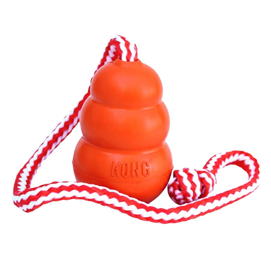 Brinquedo Para Cães Flutuante Kong Aqua Medium C/ Corda CK2