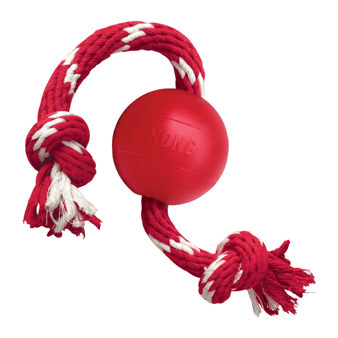 Brinquedo Para Cães Bola Com Corda Kong Ball With Rope Small